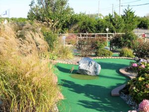 Read more about the article 6 Types of Backyard Mini Golf Courses for Endless Fun