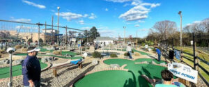 Read more about the article Mini Golf for Amusement Parks/Family Entertainment Centers