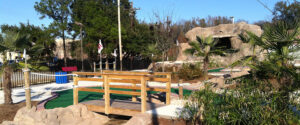Read more about the article Mini Golf at Colleges and Universities