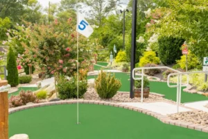 Read more about the article Key Considerations for Choosing a Mini Golf Course Theme
