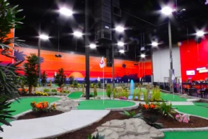Read more about the article How to Keep your Mini Golf Course Clean