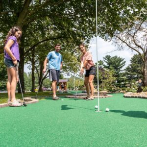 Read more about the article Creating A Unique Guest Experience: Combining Mini Golf With A Winery